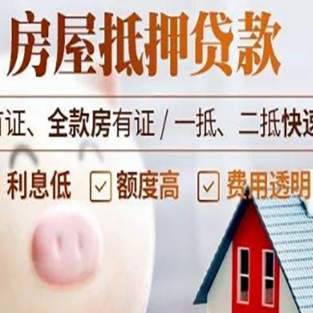 舒城贷款助贷公司新渝启服成立时间久